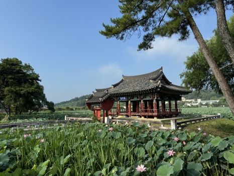 힐링식당 이미지