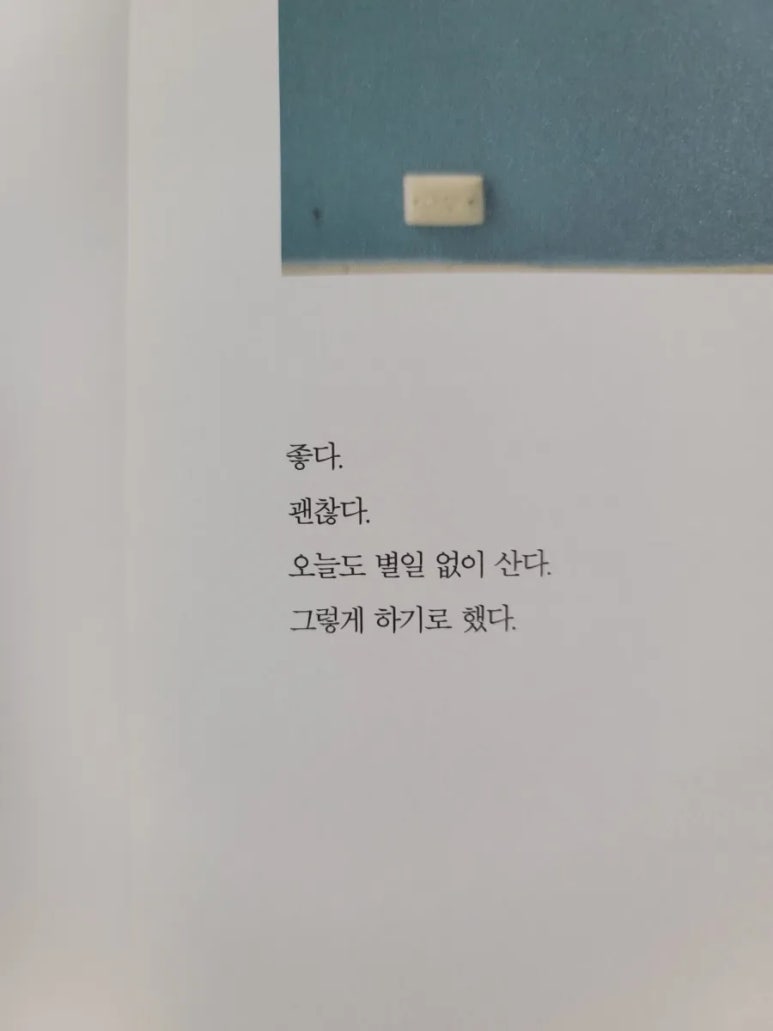 대구디어베이비 이미지