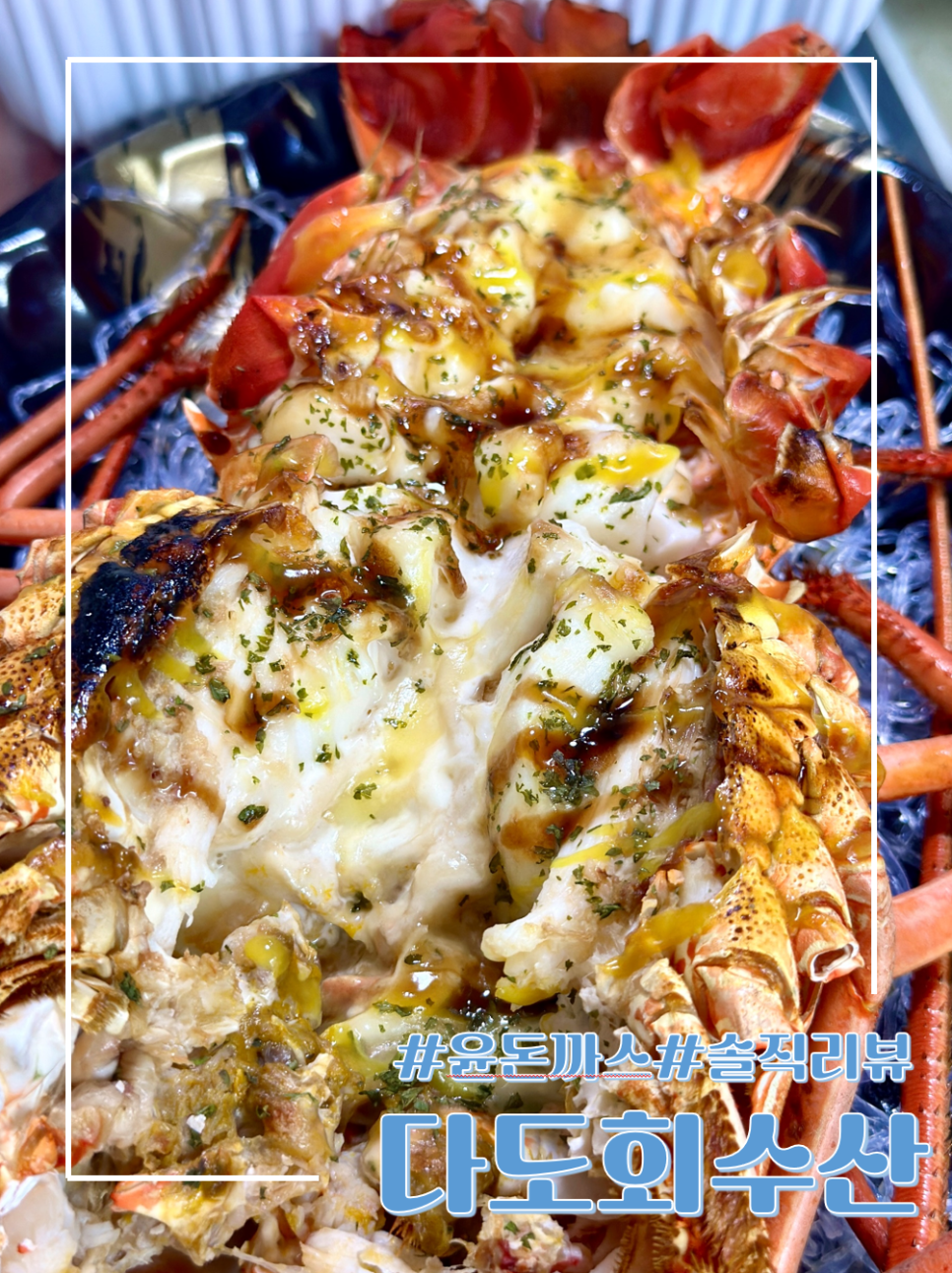 다도회수산 이미지