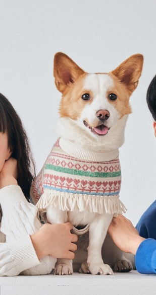 살롱늘솜 이미지