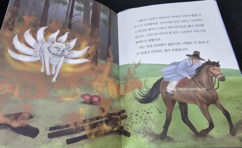 여우바라기 이미지