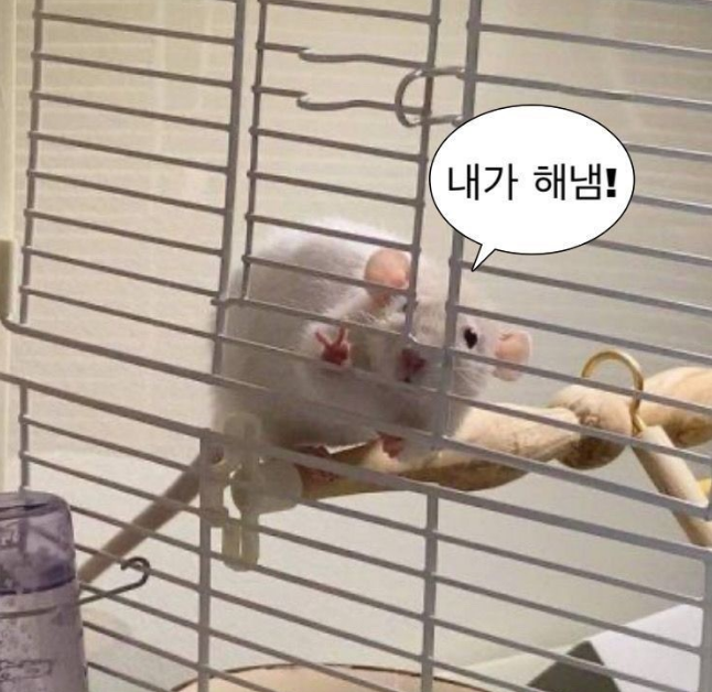 번양집 이미지