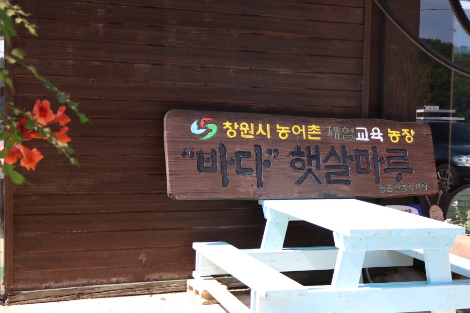 사계절다육농장 이미지