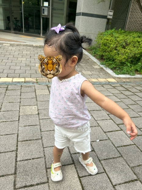 타이니보우 이미지