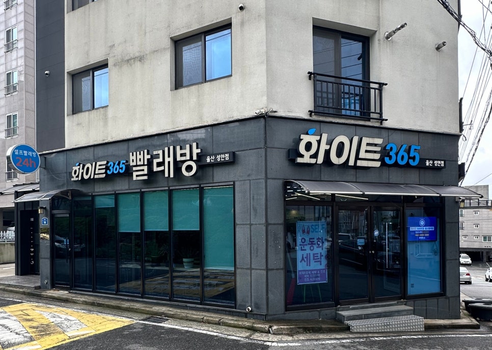 화이트365울산 이미지