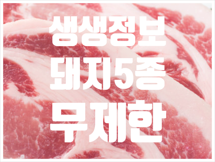 육돼지 이미지