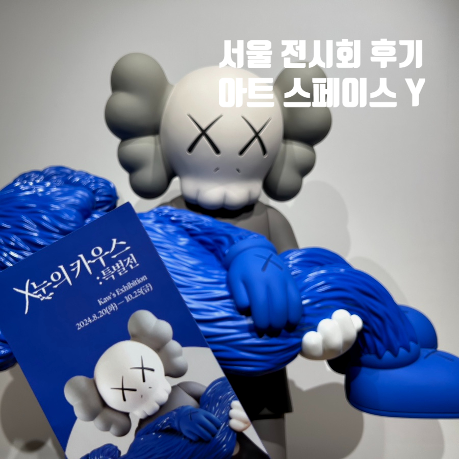 아트스페이스와이 이미지