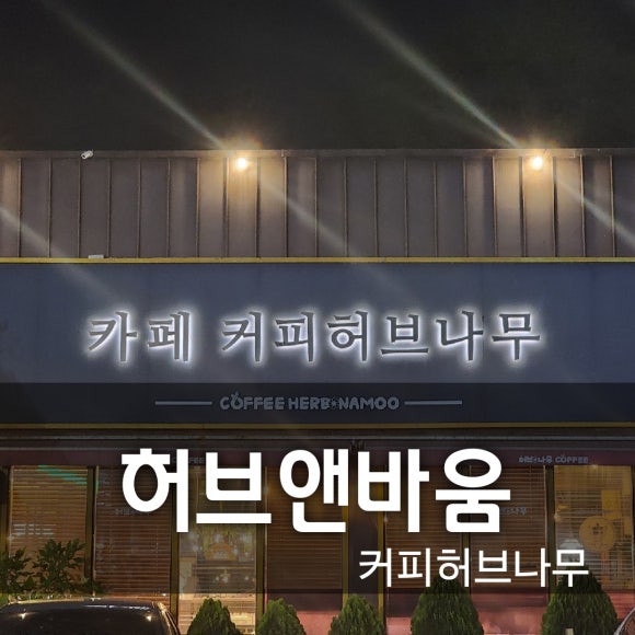 커피허브나무 이미지