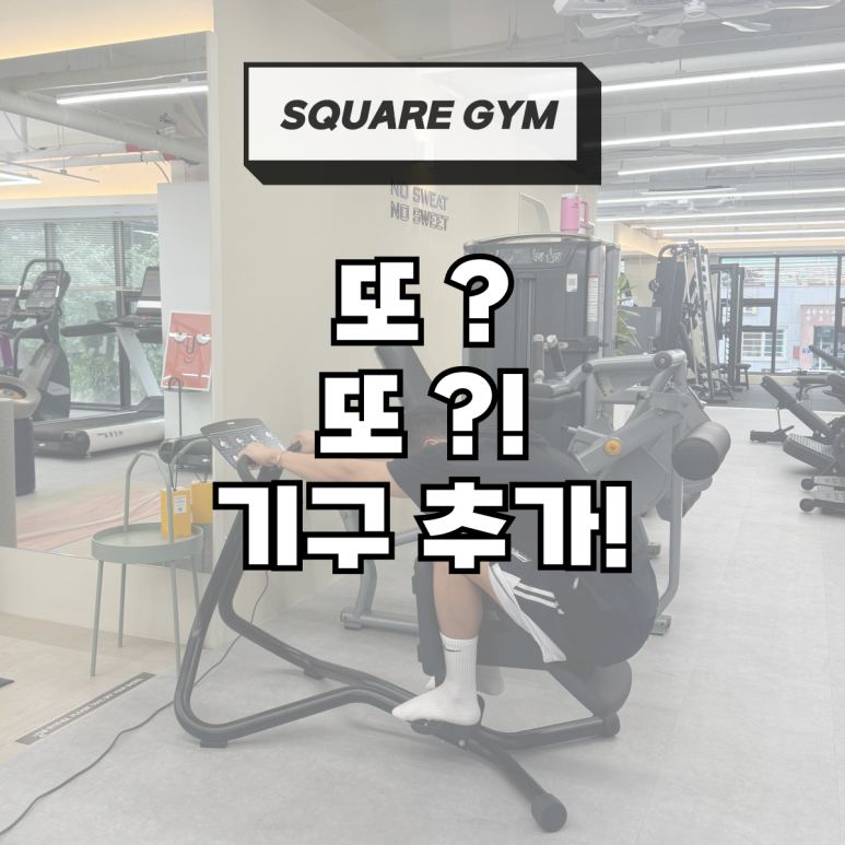프리미엄스퀘어짐 이미지