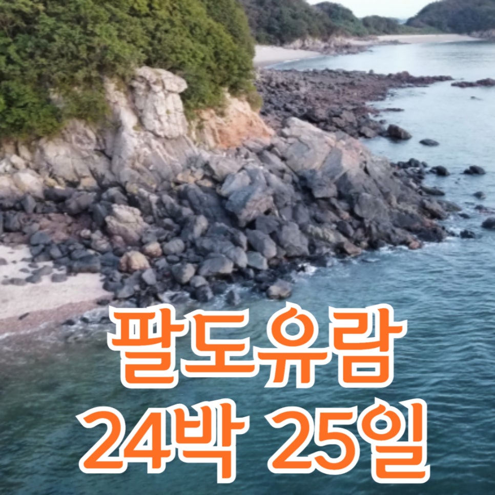팔도관광여행사 이미지