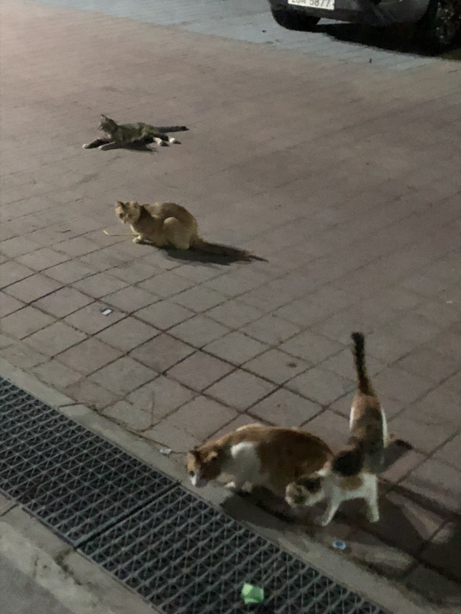석민폰 이미지