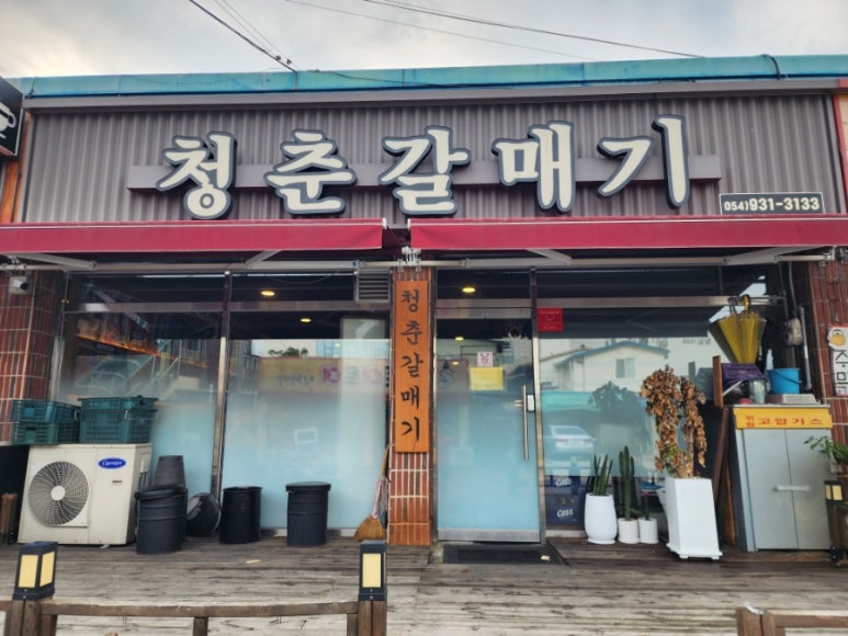 청춘갈매기 이미지