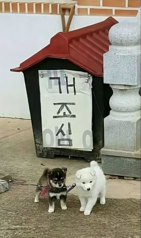 밋투데이 이미지
