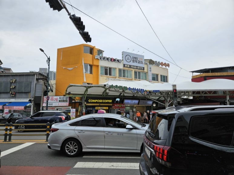 속초88수산 이미지