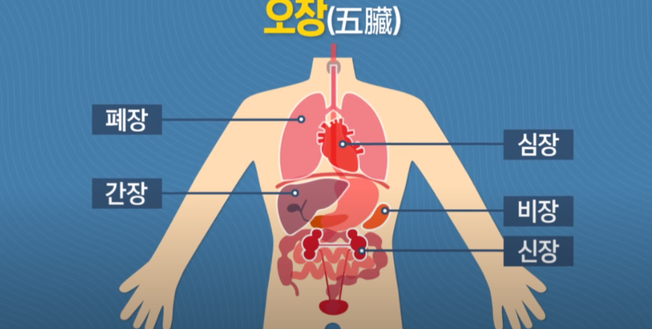 사바아사나 이미지