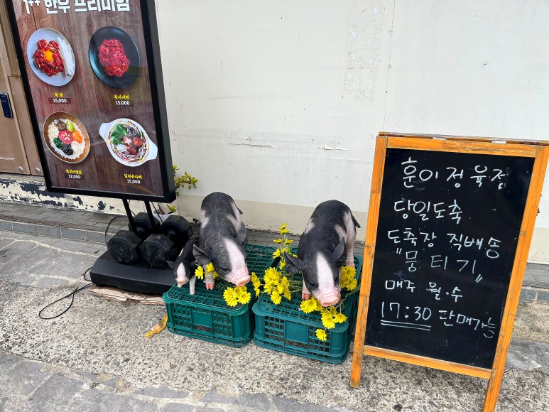 훈이정육점 이미지