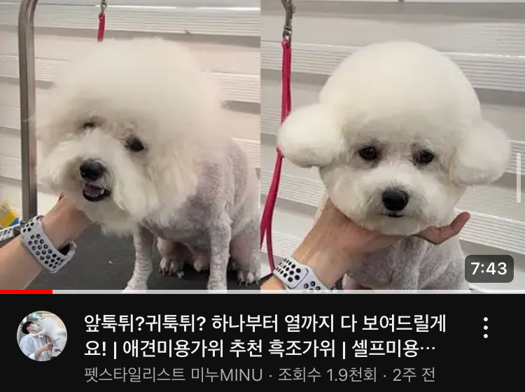 요술가위미용실 이미지
