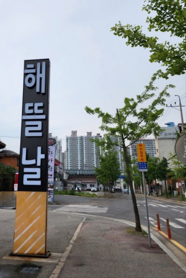 해뜰날 이미지