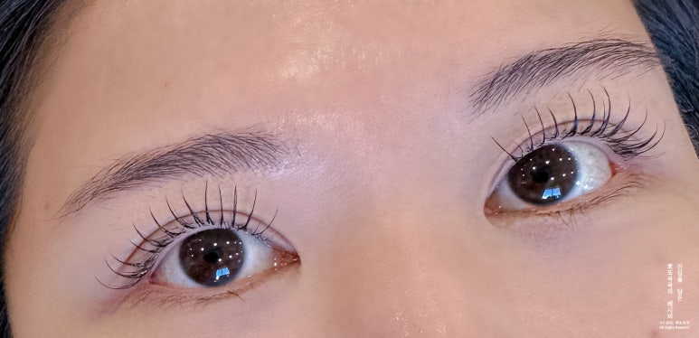 프롬리즈 김포 이미지