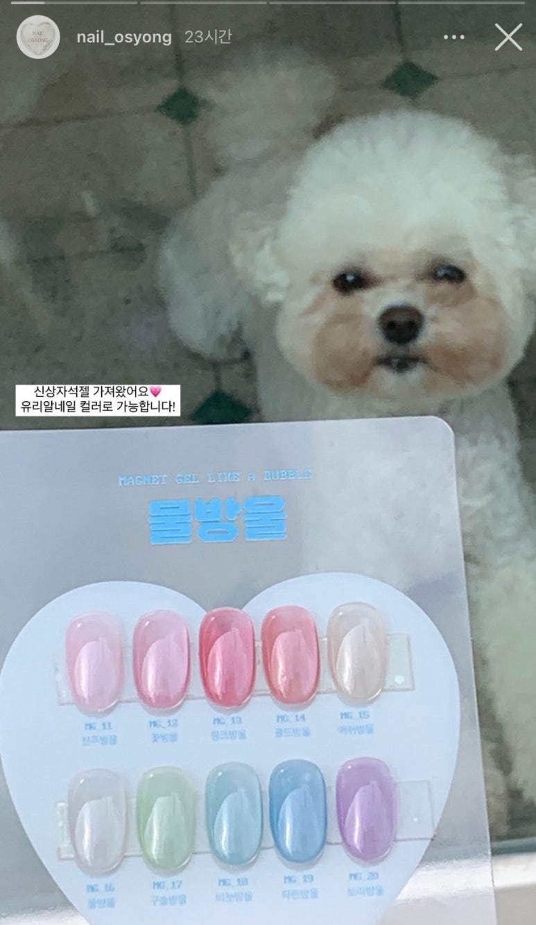 네일오숑 이미지