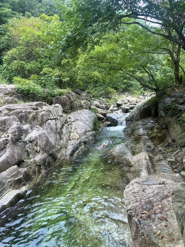 도마치자연그대로캠핑장 이미지