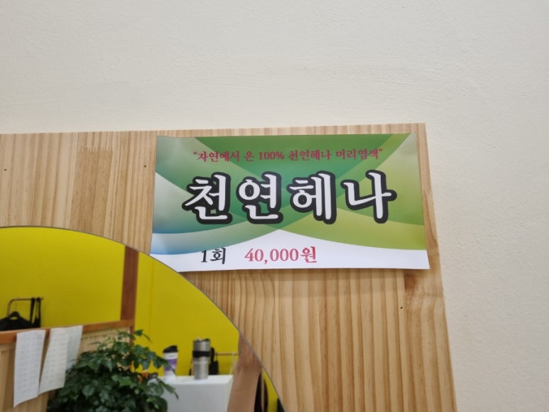 엘샤론 이미지