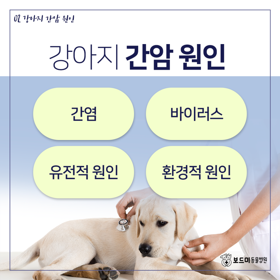 우전화학 이미지
