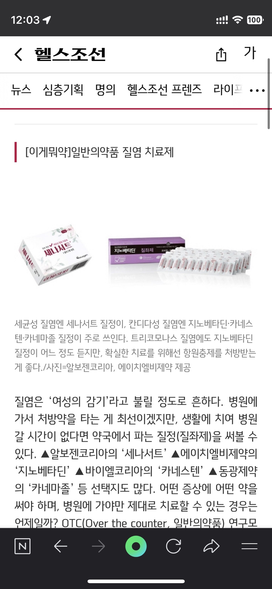 낭만고양이 이미지
