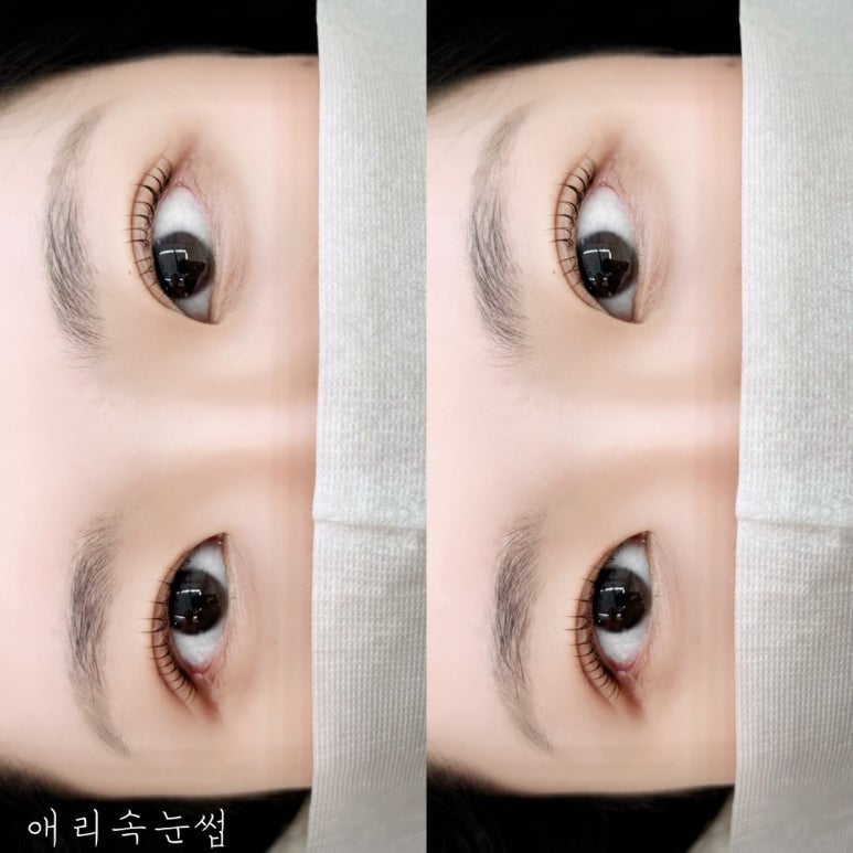 애리속눈썹 이미지