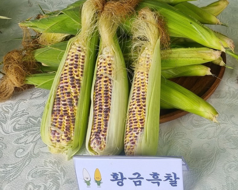 황금장터 이미지