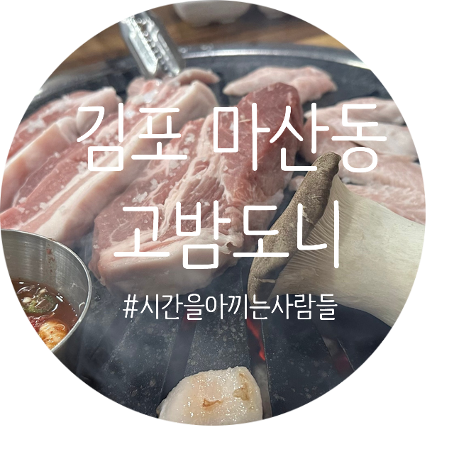 고밤도니 이미지