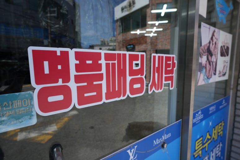 개미세탁 이미지