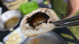 동강카누캠프 이미지