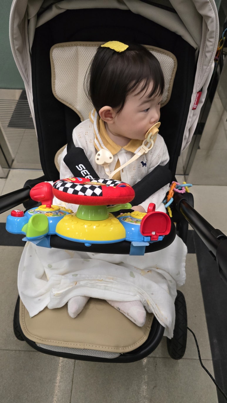 개구리화원 이미지