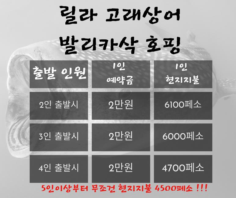 다름투어 이미지