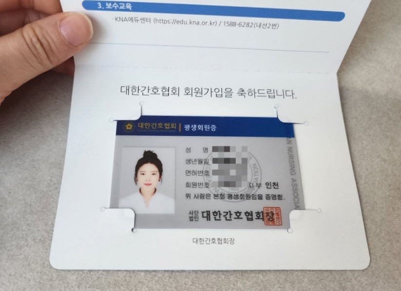 하나콩 이미지