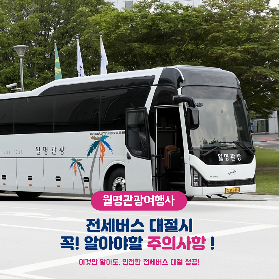 월명관광여행사 이미지