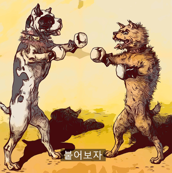 제이에스기획 이미지