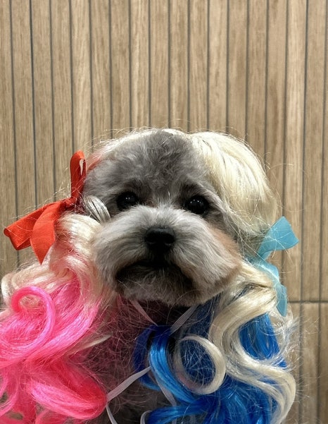 애경미용실 이미지