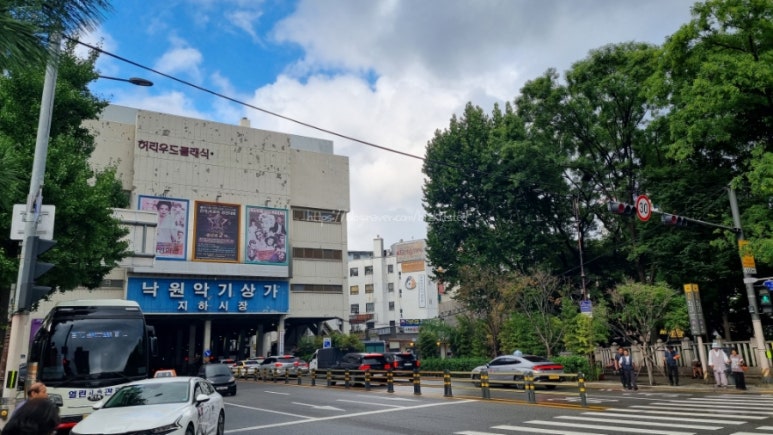 낙원노래클럽 이미지