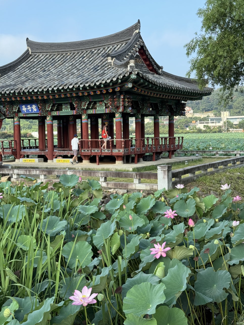 힐링식당 이미지