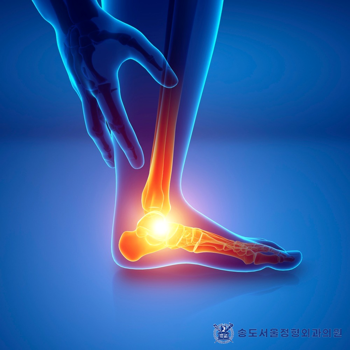 송도서울정형외과의원 이미지