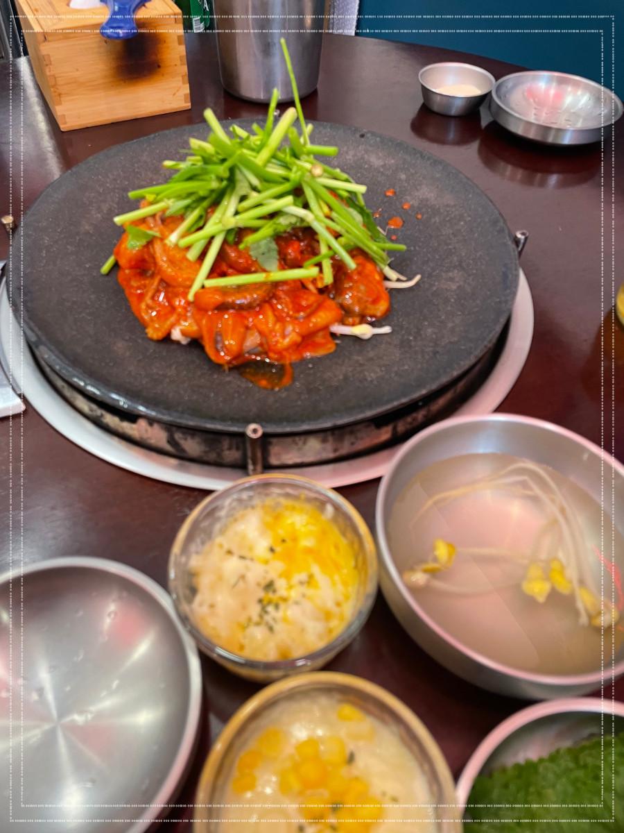 쭈꾸미도사 이미지