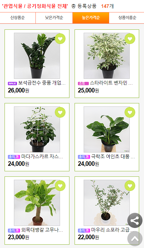 골든플랜트 이미지