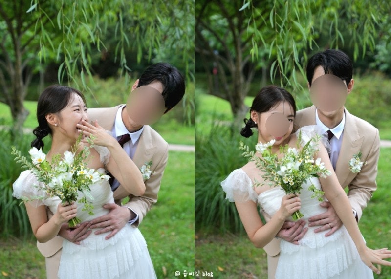 모드니숲 이미지