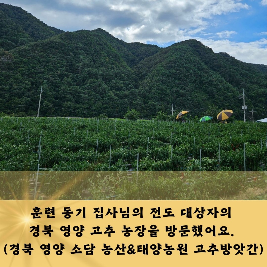 태양농산 이미지