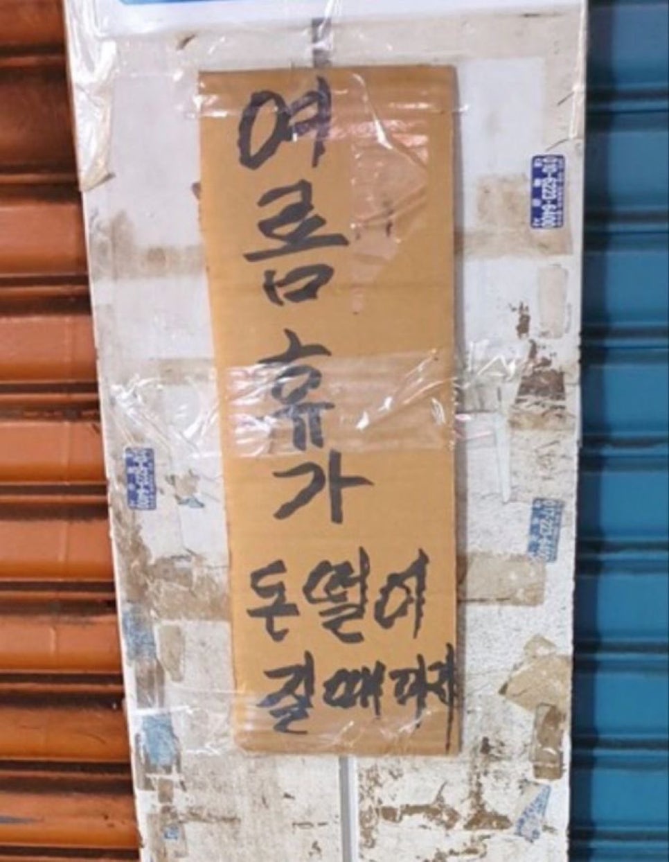 당고베이프 이미지