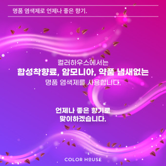 앤하우스 이미지