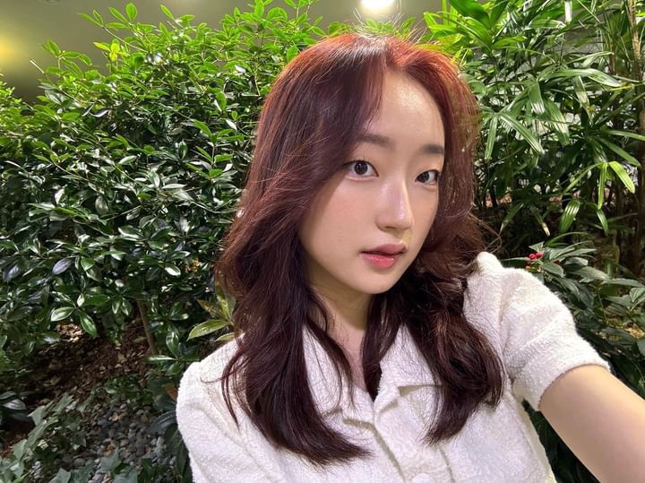 미르헤어 이미지