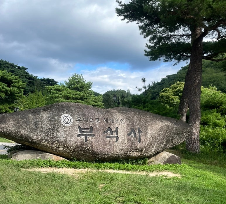 플라잉스톤 이미지